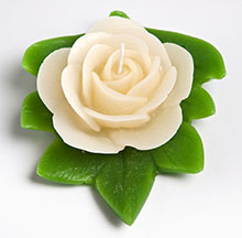 Rosa com folha